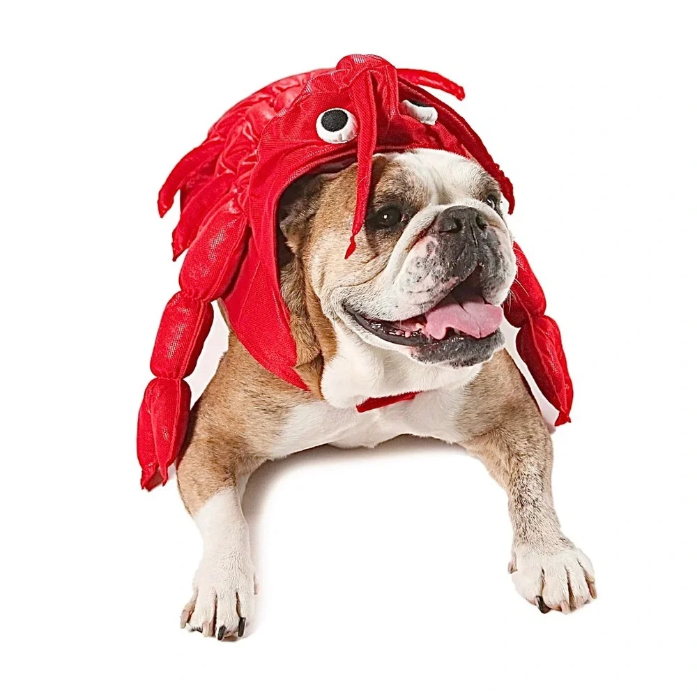 PET LOBSTER COSTUME NWT